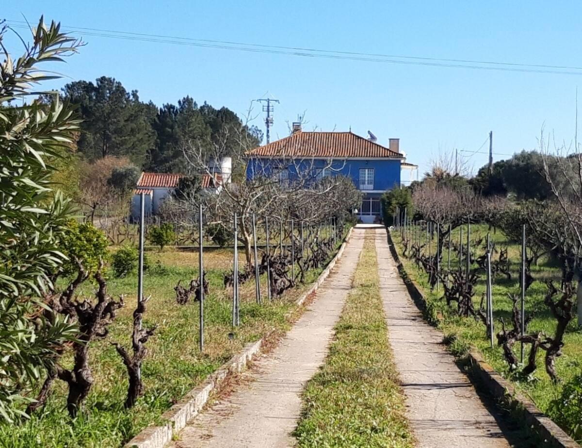 Casa Azul Tomar Prive Vakantiehuis Kültér fotó