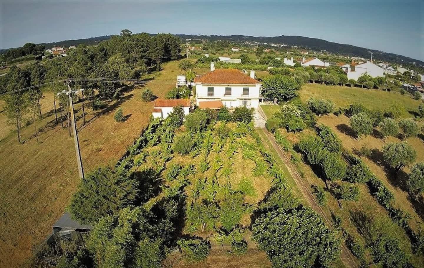 Casa Azul Tomar Prive Vakantiehuis Kültér fotó