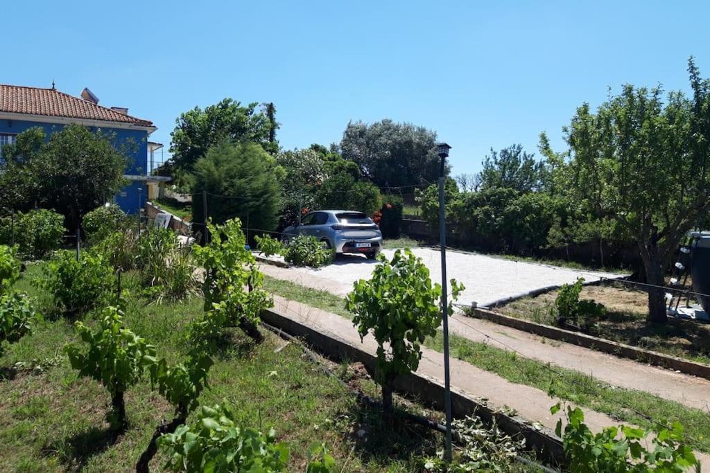 Casa Azul Tomar Prive Vakantiehuis Kültér fotó